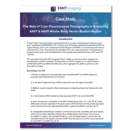 Gene Therapy Case Study