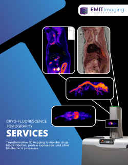 Services Doc_Digital Services Doc_Digital
